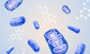 Urolithin A: A Compound That May Help Rejuvenate Aging Mitochondria