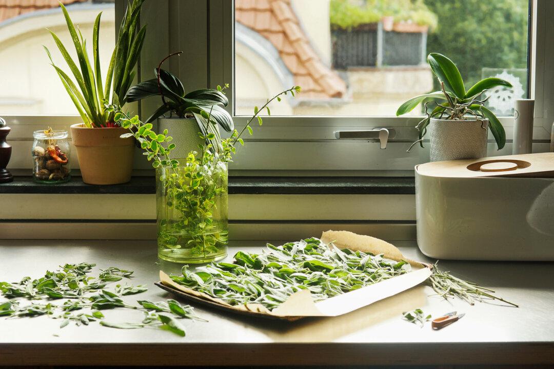 How to Grow Herbs All Summer Long