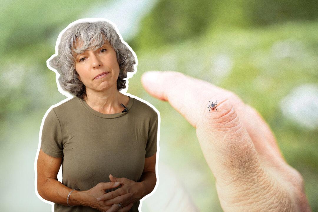 How to Stay Tick-Free This Summer