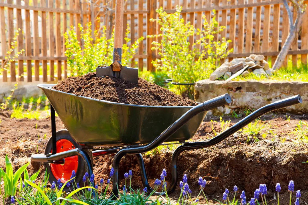 Easy Way to Build a Beautiful Summer Flower Garden