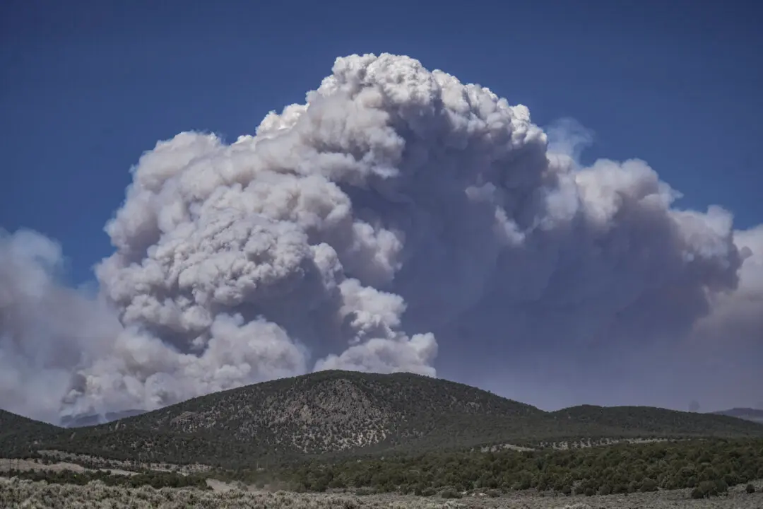 Utah Declares State of Emergency as US Largest Wildfire Grows