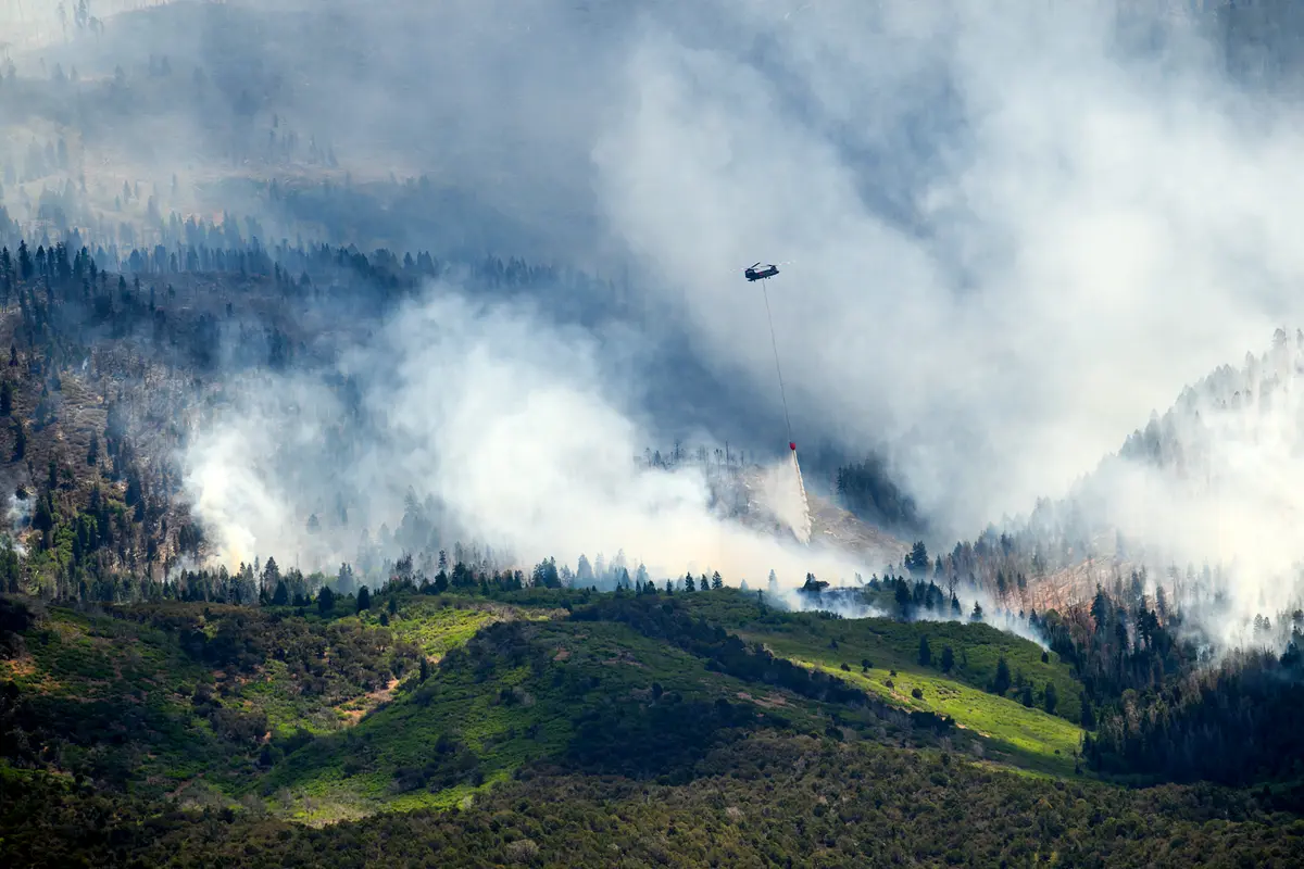 3 Firefighters Die in Colorado–Utah Fire