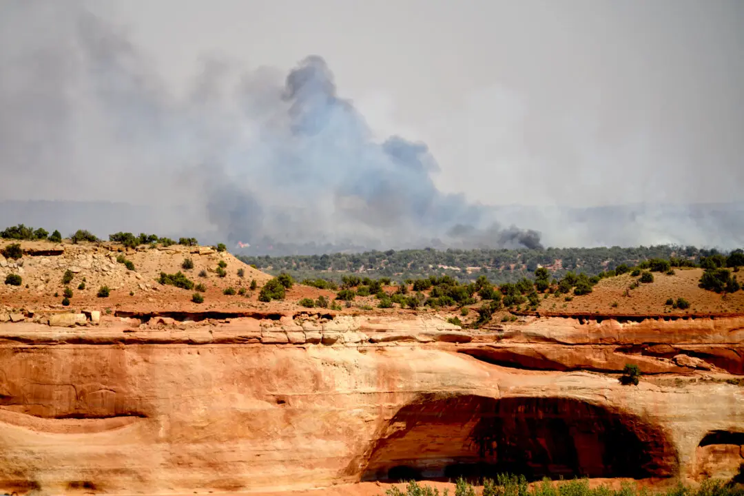 Officials Identify 3 Firefighters Killed in Colorado Blaze