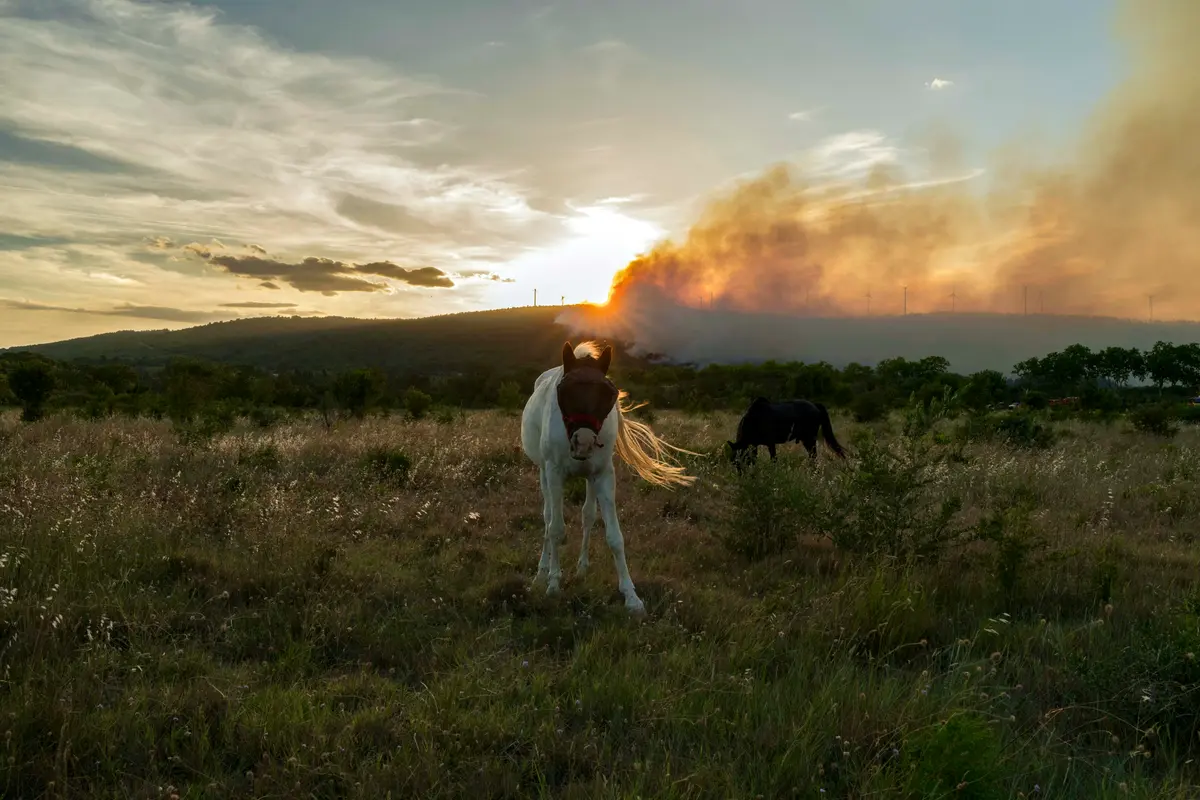 Day in Photos: Wildfire in France, Collapsed Roof in Pakistan, and Independence Day Drummers