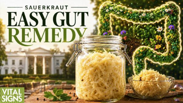 Nurture Gut Flora — Sauerkraut’s 5 Key Benefits
