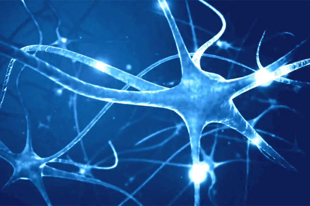 The Ancient Techniques That Reset Your Nervous System