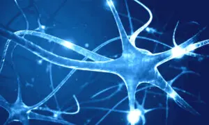 The Ancient Techniques That Reset Your Nervous System