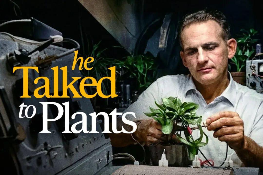 Do Plants Have Minds?