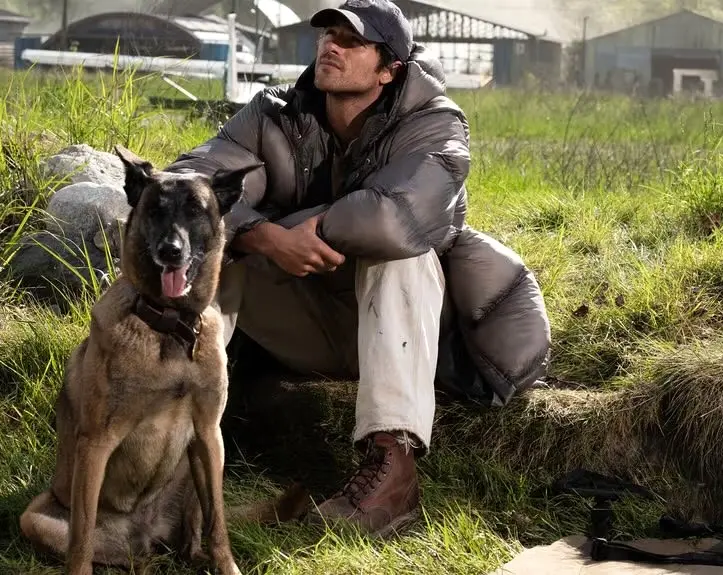 The Dog Days of Summer Are at the Movies