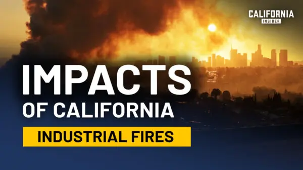 What California Chemical Fires Leave Behind | Michael Hogan