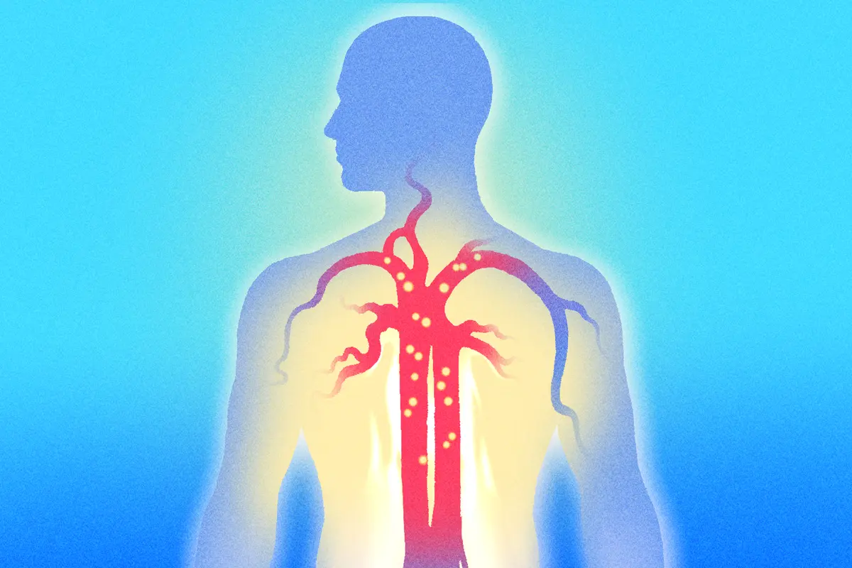 Blood Carries More Than Oxygen. Here’s How to Nourish It